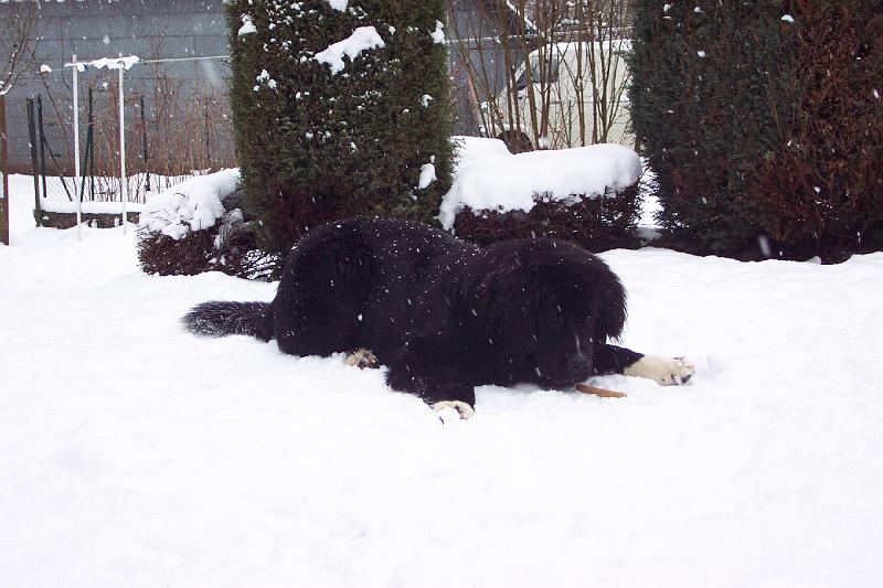 02-022-003 049.jpg